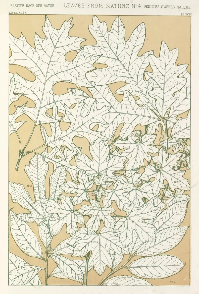 Blad från naturen nr 4 av Owen Jones
