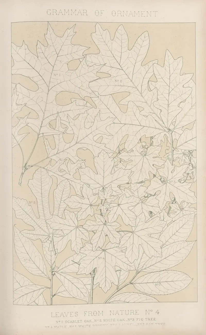 Leaves from Nature No. 4 av Owen Jones