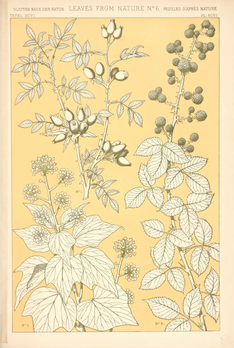 Leaves from Nature No. 6 – nr 1 av Owen Jones
