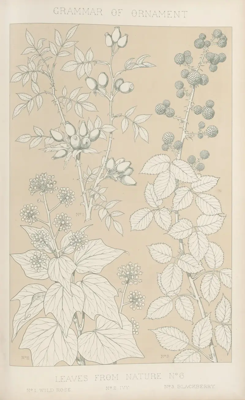 Leaves from Nature No. 6, 1856 av Owen Jones