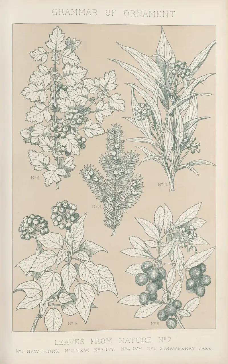 Leaves from Nature No. 7 av Owen Jones
