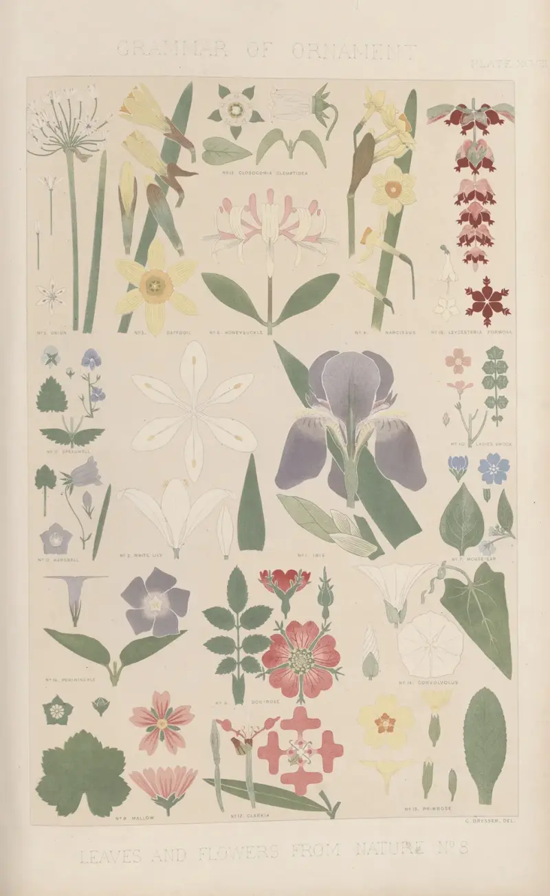 Leaves from Nature No. 8 av Owen Jones