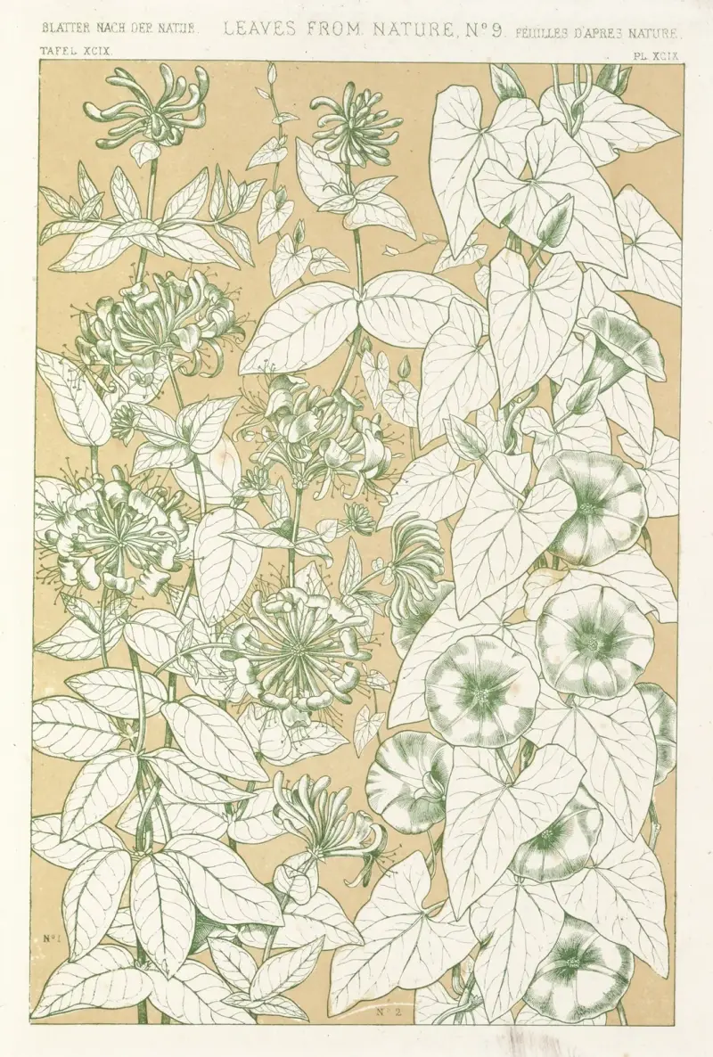 Leaves from Nature No.9 av Owen Jones