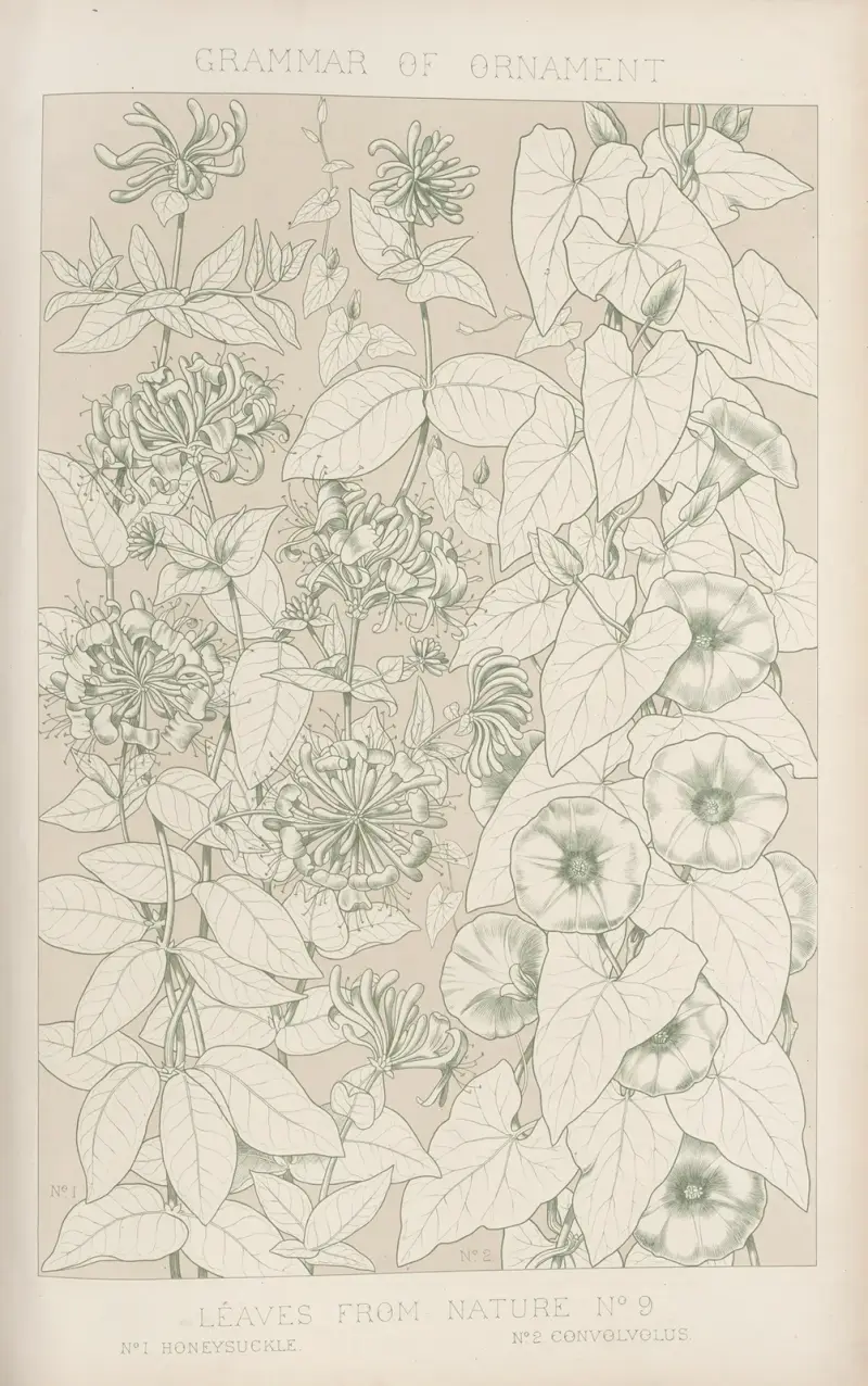 Leaves from Nature No. 9 av Owen Jones