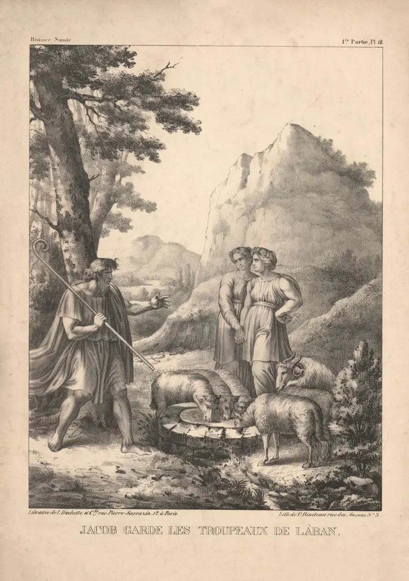 Jacob garde les troupeaux de Laban av P. Bineteau
