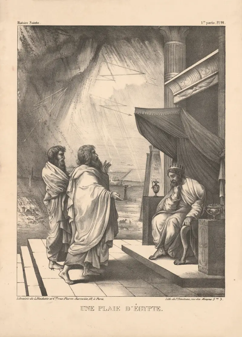 Une plaie d’Egypte av P. Bineteau