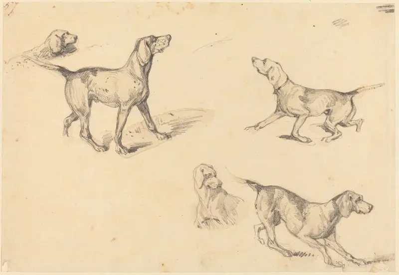 Fem studier av en fransk pointer av Richard Parkes Bonington