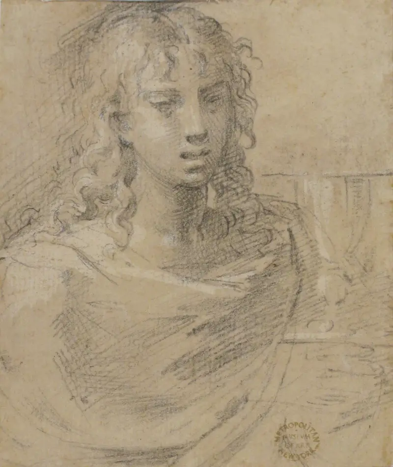 Büste des heiligen Johannes des Evangelisten von Parmigianino