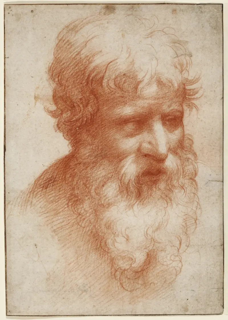 Head of a Bearded Man, looking right av Parmigianino