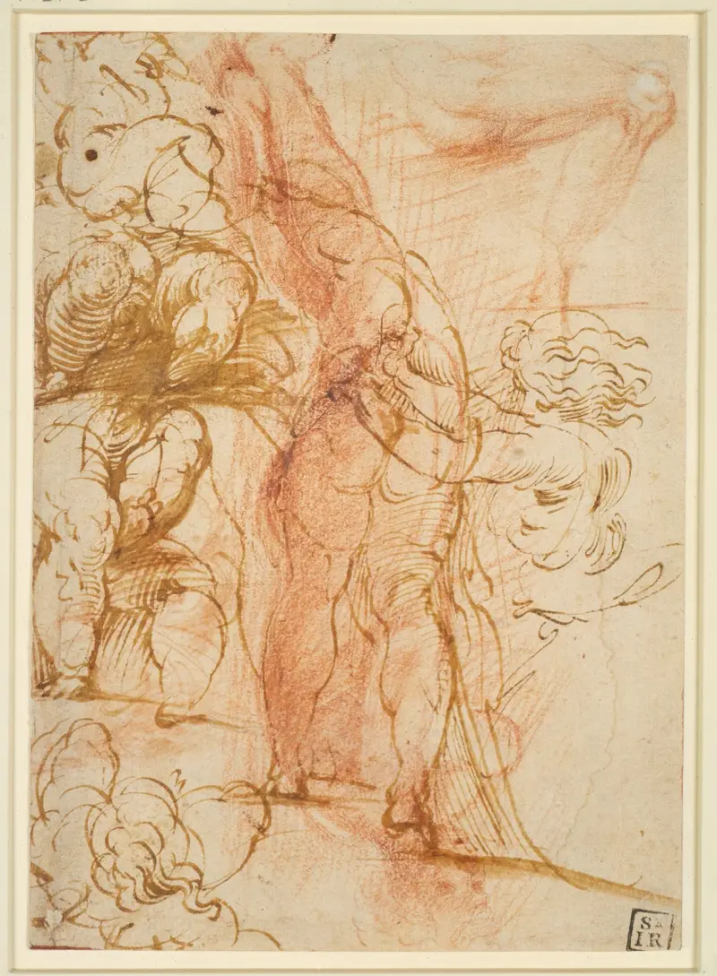 Flera benstudier av putti, inåtgående manlig akt, benstudie och stående figur av Parmigianino