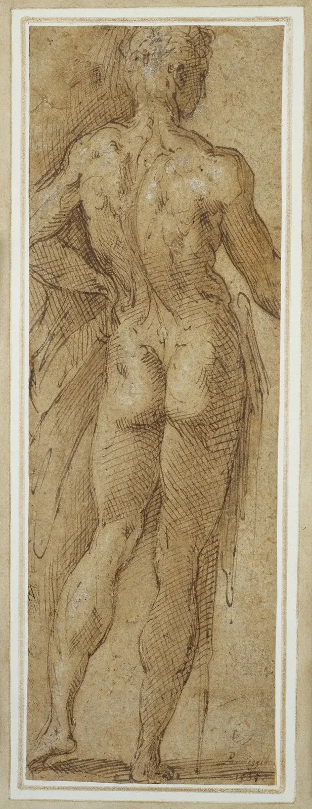 Stehender männlicher Akt in Rückenansicht von Parmigianino