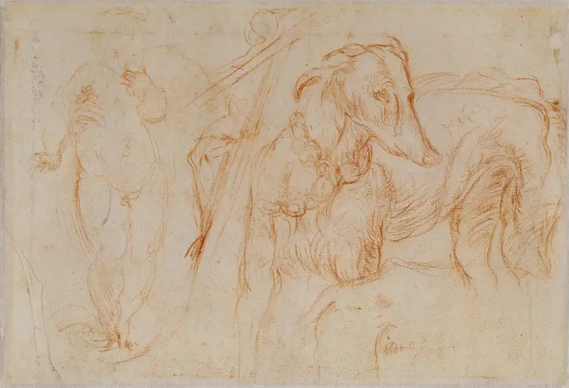 Studier av Jesusbarnet, ett krucifix och en hund av Parmigianino