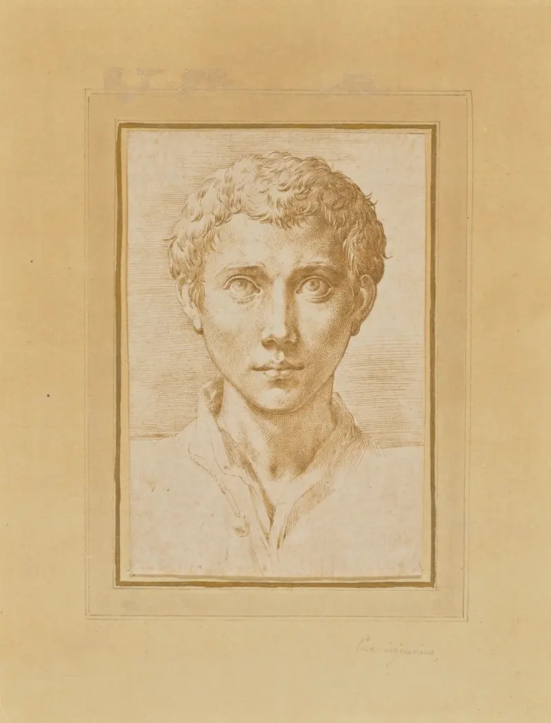 Huvud av en ung man av Parmigianino