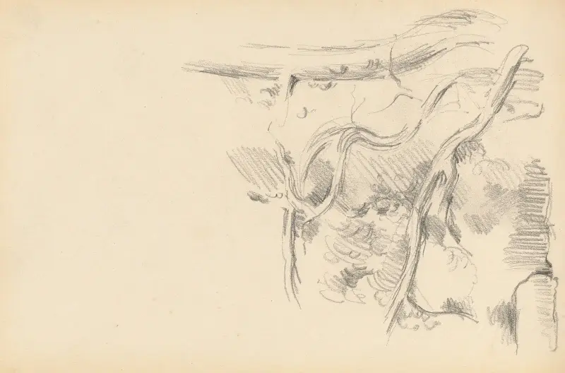 Borovice, Paul Cézanne