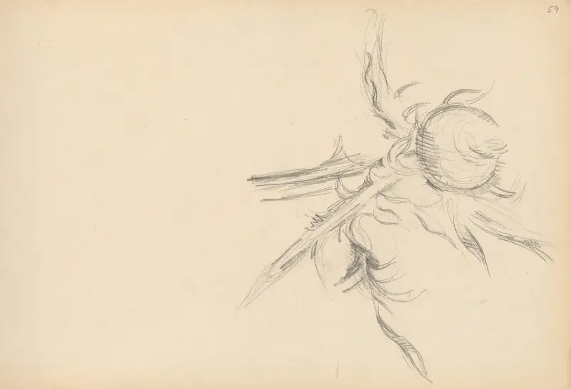Bodlák, Paul Cézanne