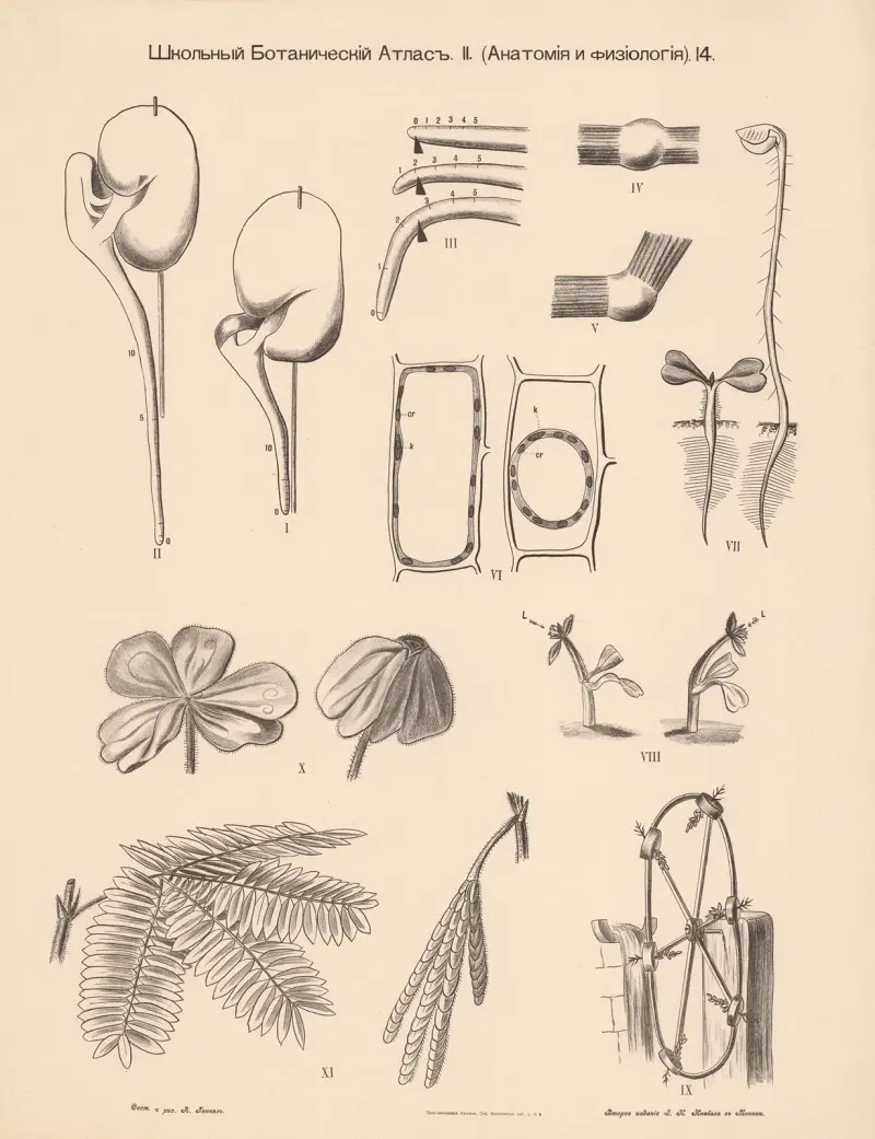 Growth conditions av Alexander-Paul Henckel