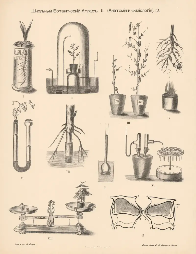 Různé experimenty, Alexander-Paul Henckel