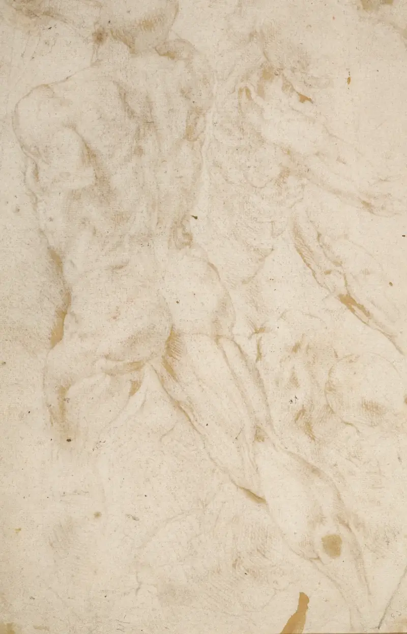 Anatomická studia, 1600 – Nr. 2, Peter Paul Rubens