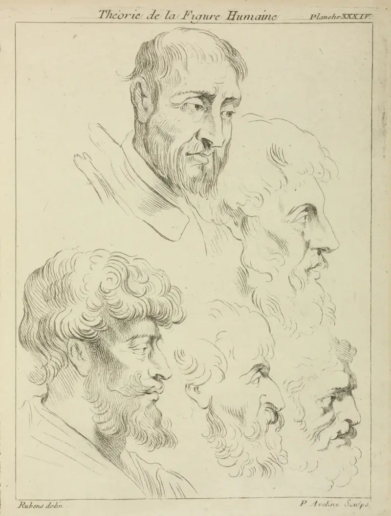 Fünf Studien von Männerköpfen, vier im Profil von Peter Paul Rubens