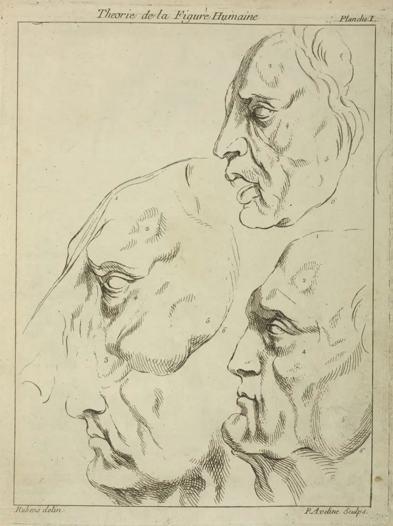 Four faces–three human, one horse– in profile av Peter Paul Rubens
