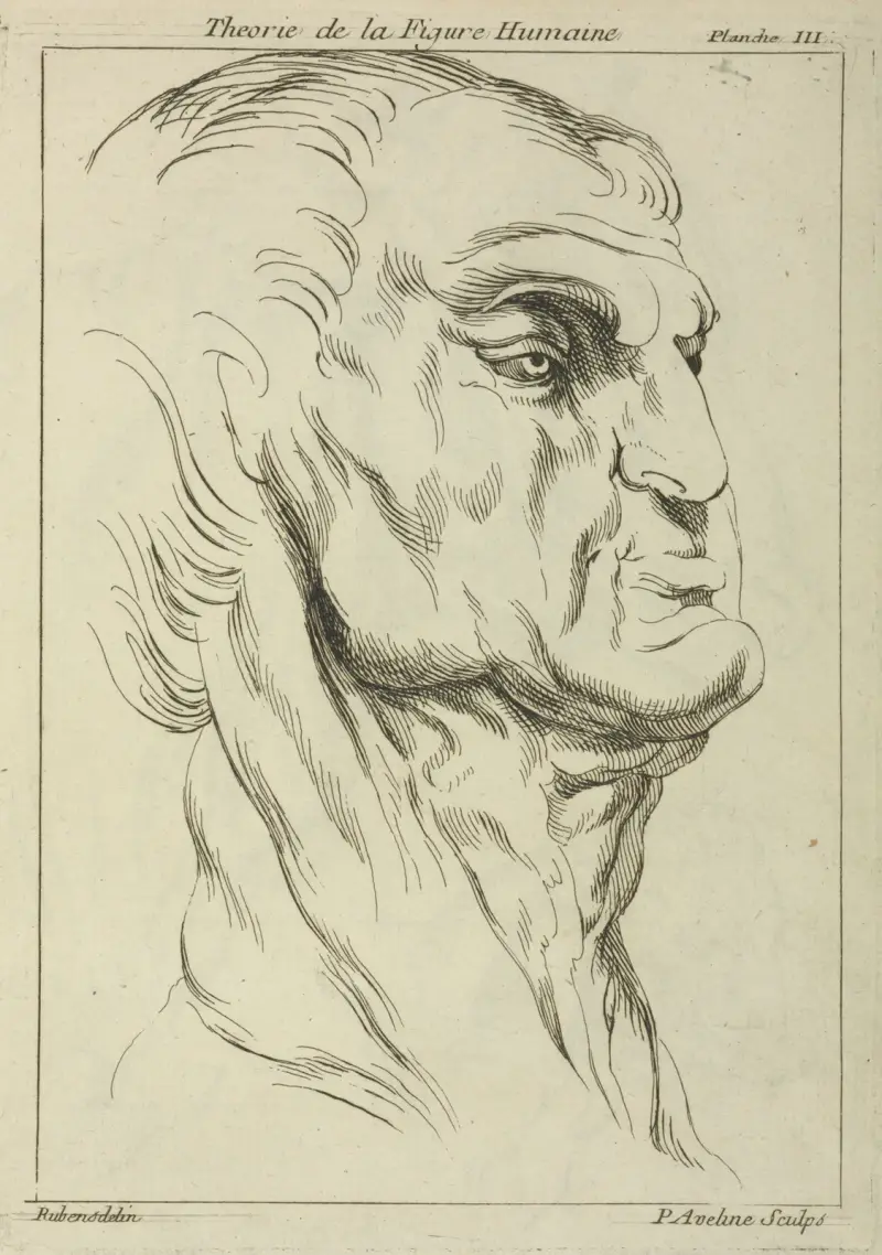 Head of a man av Peter Paul Rubens