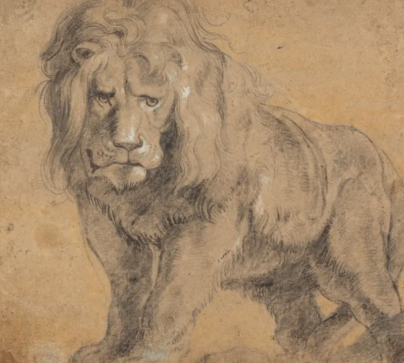 Lev, Peter Paul Rubens