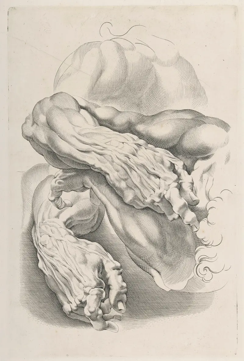 Svaly – Nr. 2, Peter Paul Rubens