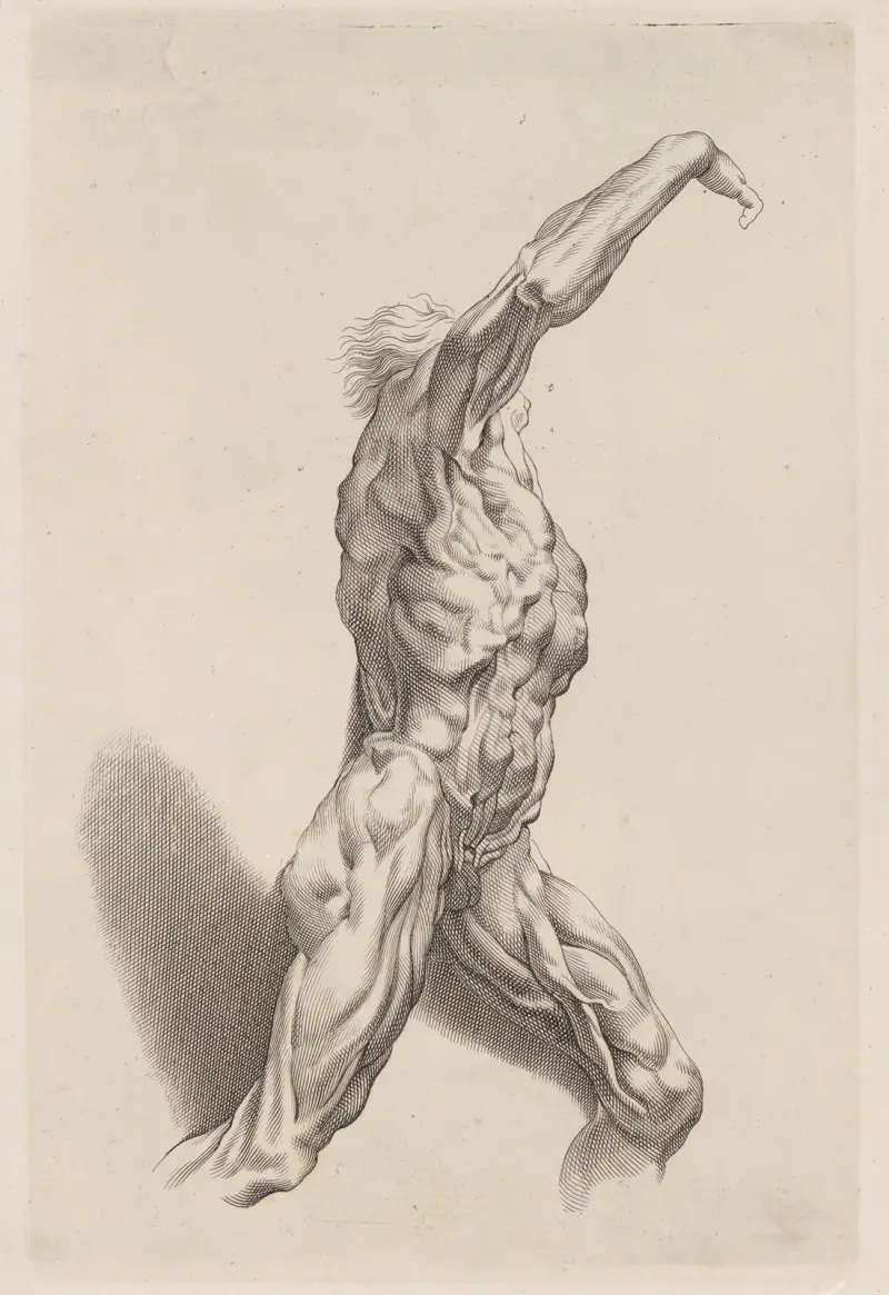 Aktová studie, Nr. 1, Peter Paul Rubens