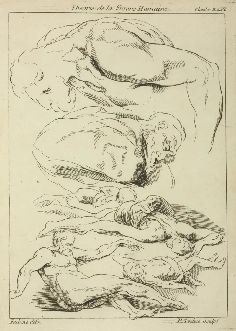 Six studies of male figures in various prone and supine positions av Peter Paul Rubens