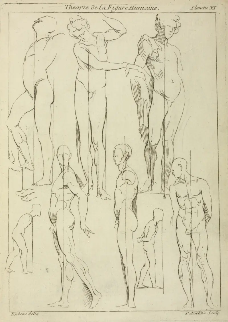 Studies of figures in upright positions av Peter Paul Rubens