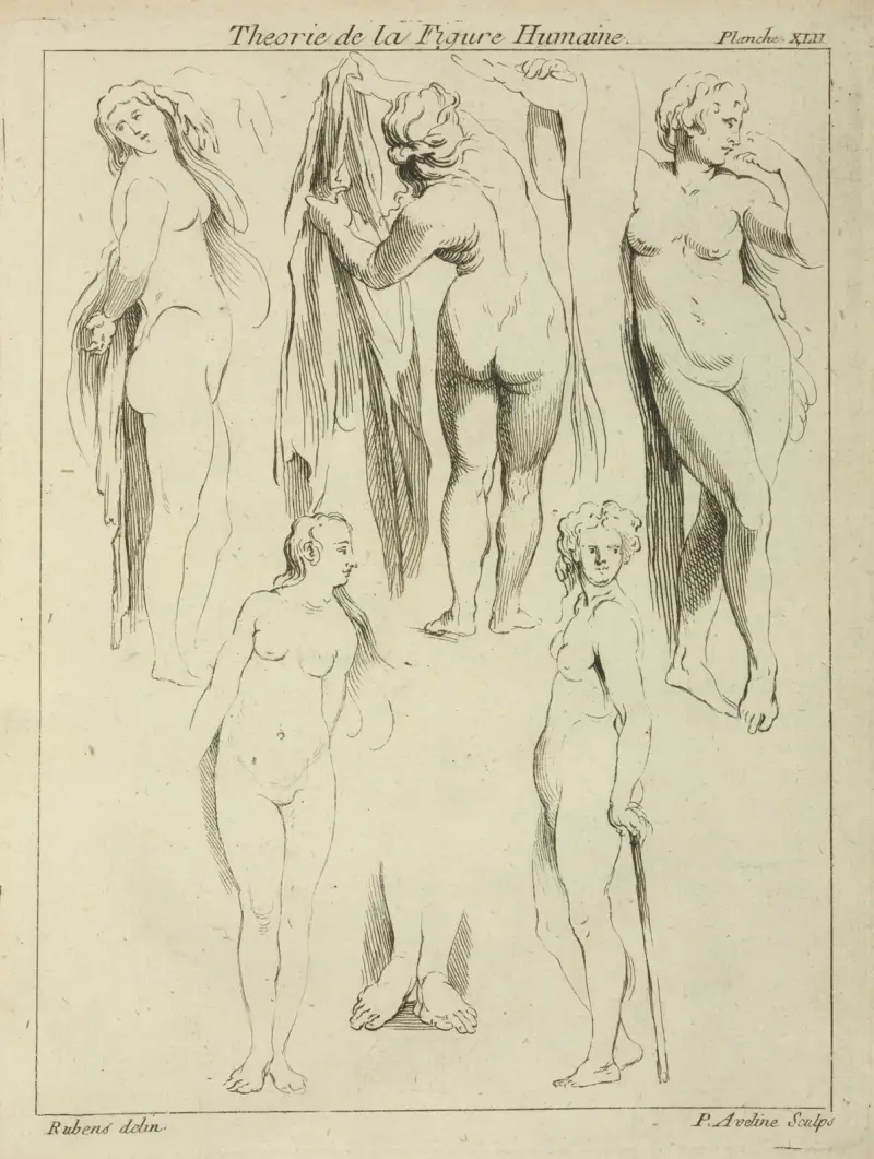 Studies of standing female nudes and a pair of feet av Peter Paul Rubens