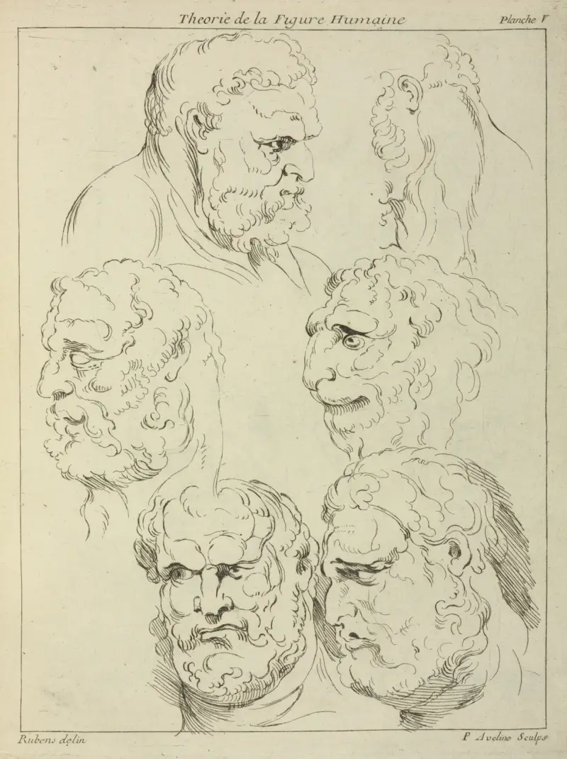 Studies of the head of a bearded man, and the head of a creature av Peter Paul Rubens