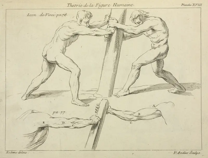 Studies of two figures pushing against a pillar av Peter Paul Rubens