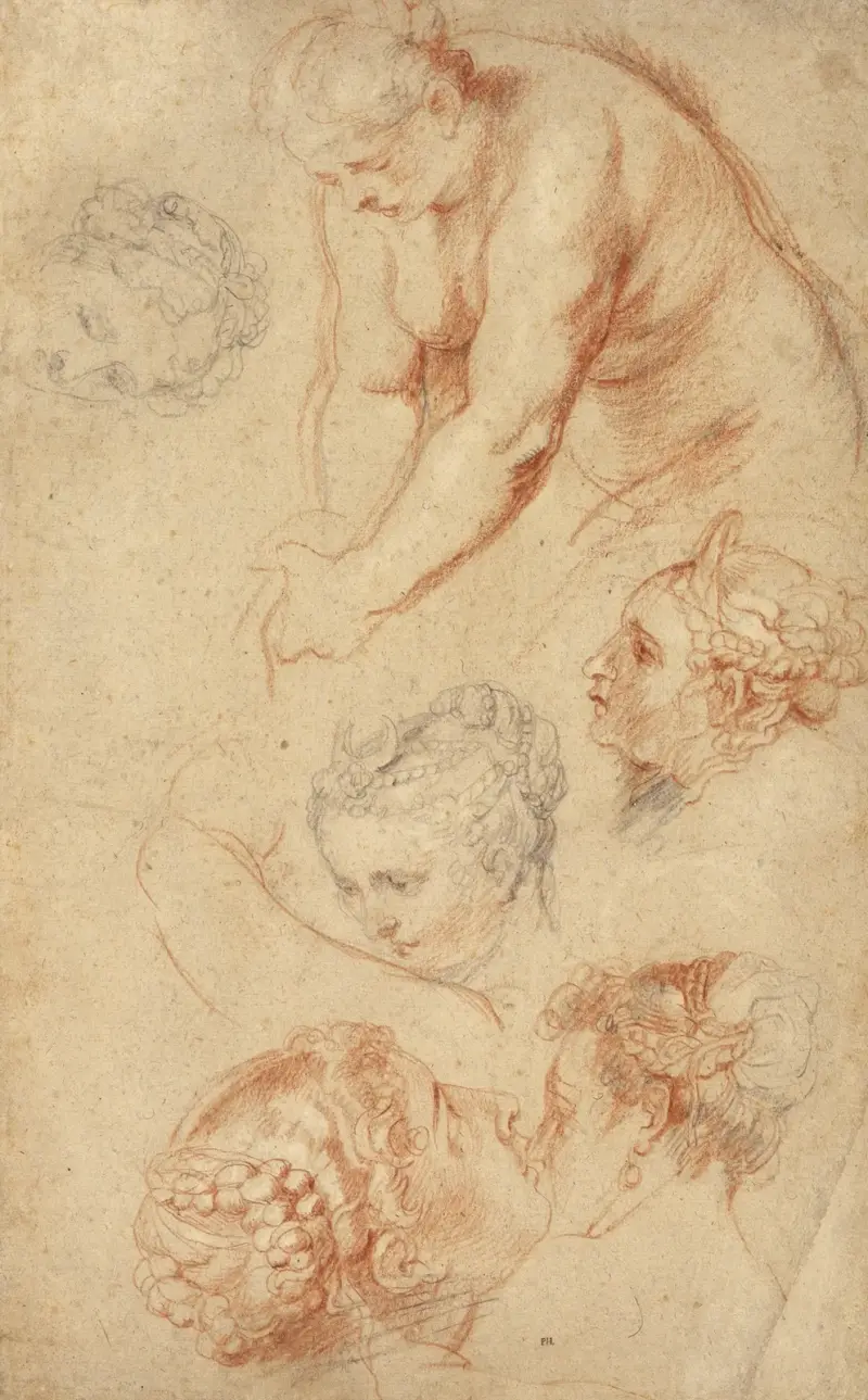 Studies of Women av Peter Paul Rubens
