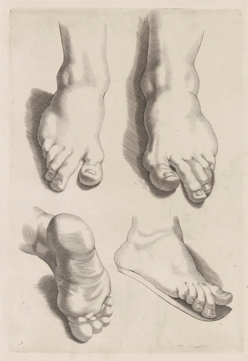 Study of Feet av Peter Paul Rubens