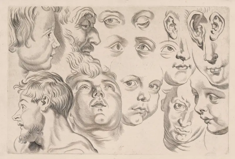 Study of Heads – nr 3 av Peter Paul Rubens
