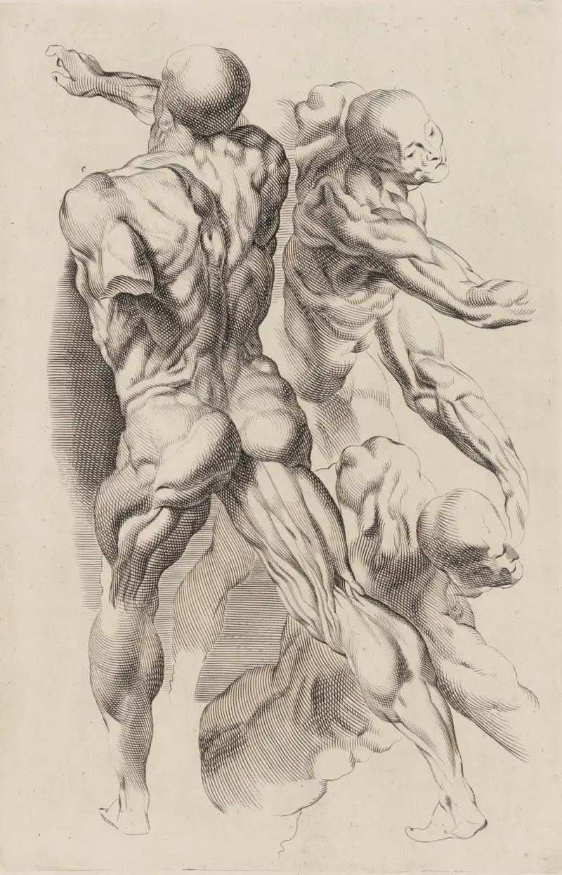 Study of Two Naked Men av Peter Paul Rubens