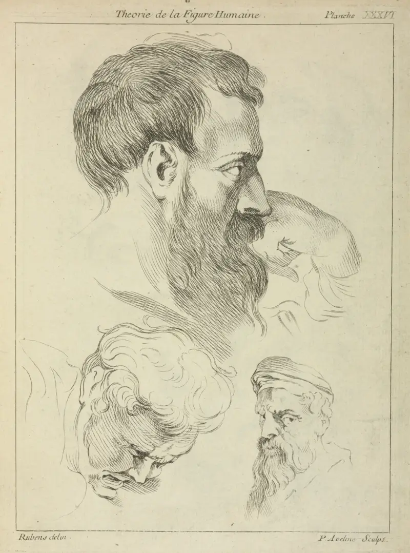 Tre studier av mäns huvuden av Peter Paul Rubens