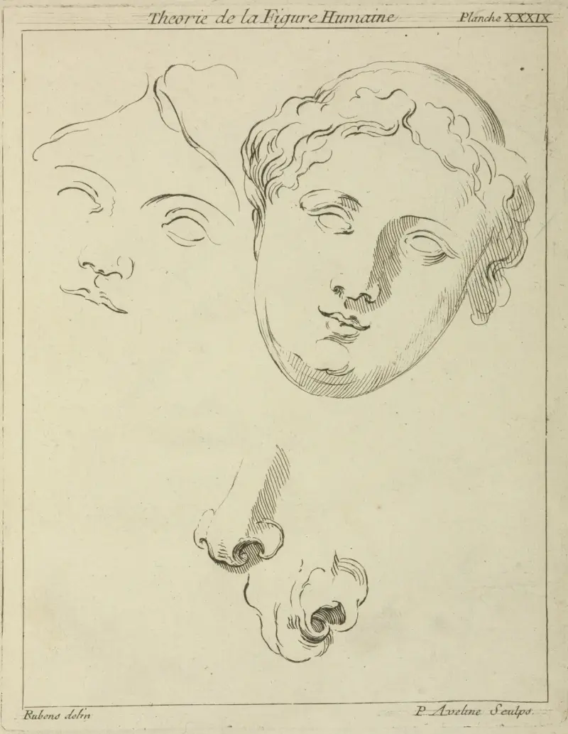 Two human female faces and two noses–one human, animal av Peter Paul Rubens