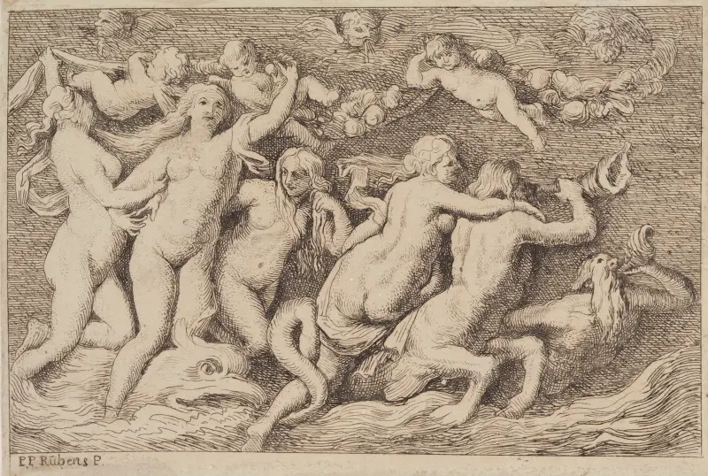 Venus Rising from the Sea av Peter Paul Rubens