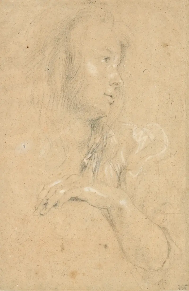 Young Woman in Profile av Peter Paul Rubens
