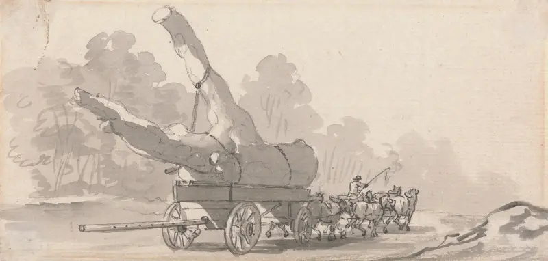Kärra med stor trädstam av Paul Sandby
