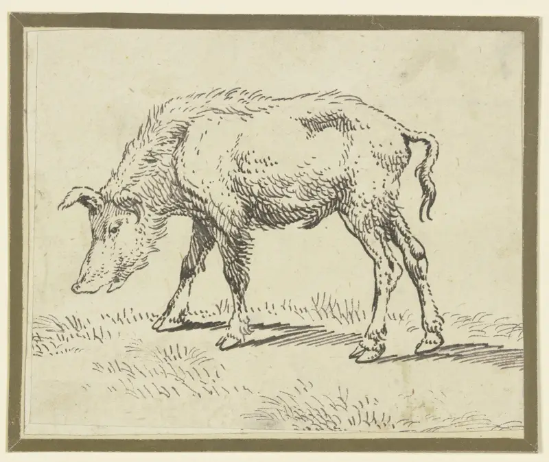 A pig to the left av Paulus Potter