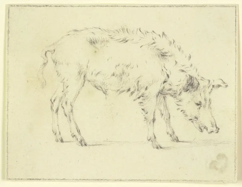 Ein Schwein nach rechts von Paulus Potter
