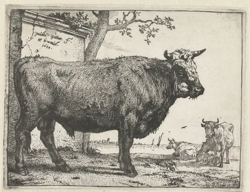 Býk, 1650 – č. 1, Paulus Potter