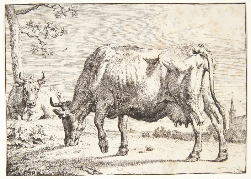 Pasoucí se kráva, 1650 – č. 1, Paulus Potter