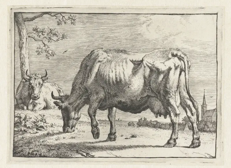 Weidende Kuh, 1650 – Nr. 2 von Paulus Potter