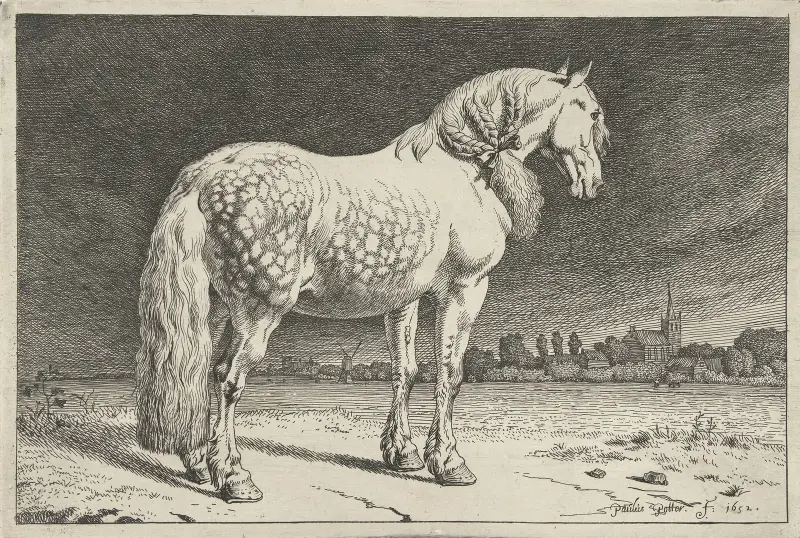 Das Friesische Pferd von Paulus Potter