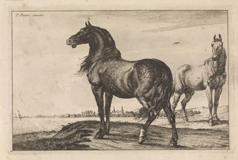 Hinnikend paard Paarden av Paulus Potter