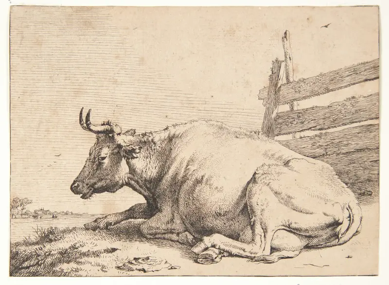Ko liggende ved et hegn av Paulus Potter